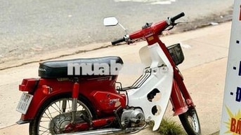 Honda DD70 Đỏ Trắng