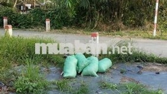 Bán đất kv thới bình phường Thới An Đông giáp ranh Long Hòa lộ ô tô 4m