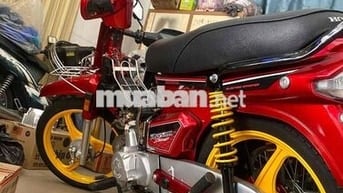 Xe Dream Đỏ Trung Quốc bstp