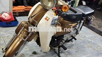 Cub 50cc 2014 Vàng đồng cho học sinh đi học
