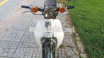 Honda Super Cub 50cc Xanh lá phối trắng