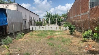 BÁN LỖ LÔ 354M2 FULL THỔ CƯ - MT ĐƯỜNG NHỰA 12M (9X35M)