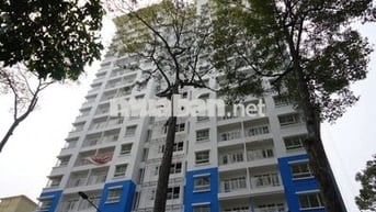 Cho thuê căn hộ Nguyễn Chí Thanh, Q. 5 - căn góc, view thoáng, nhà đẹp