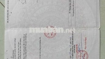 Chính chủ bán diện tích 233m2, 100m2 thổ cư 2tỷ4 thương lượng
