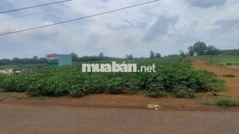Chính chủ cần tiền bán gấp lô đất trảng bom đồng nai 100m giá 250tr