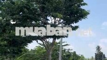 Chính chủ cần band lô đất gần sân bay-SHR giá 3ty200
