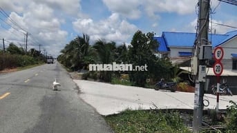 2794 m²( 2 tỷ 150 ) đất mặt tiền đường 5m