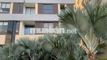 cần cho thuê nhiều căn hộ kingston residence