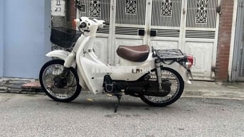 Taya Cub Trắng