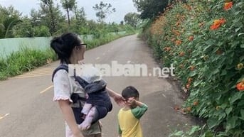 CHỈNH CHỦ CẮT LỔ ĐẤT THỔ CƯ DẦU TIẾNG 365,5 m2 sẵn thổ cư MT đường 706