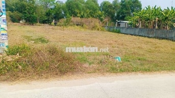 Cần bán đất xây dựng nhà xưởng kho bãi.