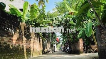 chính chủ bán đất hồng hà đan phượng