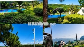 Đất Nền Bảo Lộc Đón Đầu Cao Tốc | Giá 1,2 Tỷ (thương lượng), Sổ Đỏ 