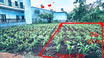 BÁN ĐẤT NỀN KHU DÂN CƯ BUÔN JU – P. TÂN AN, BUÔN MA THUỘT