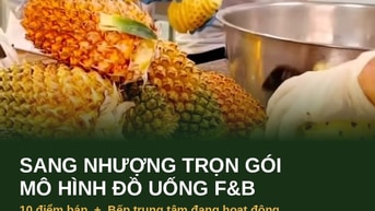 Sang Nhượng Mô Hình Đồ Uống - Bếp Trung Tâm + 10 Điểm Bán TP.HCM