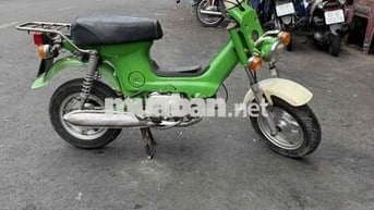 Honda Chaly Xanh lá Xăng