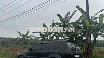 Ford Escape 5 chỗ màu Đen