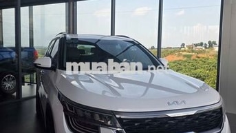 Kia Seltos Premium 2023 Trắng 28.000 km
