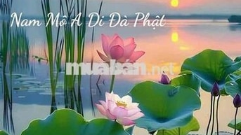 cho thuê mặt bằng mặt tiền Nguyễn Hữu Thọ 8x25