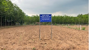 Thông báo ĐGTS đang được thế chấp tại Ngân hàng TMCP Quốc tế Việt Nam