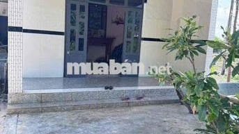 Chính chủ bán đất 1.040m² có nhà cấp 4 mới xây – Giá 900 Triệu