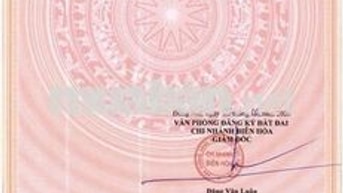 GIA ĐÌNH CẦN BÁN GẤP ĐI CHÂU ÂU