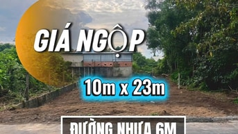 GIÁ NGỘP – CƠ HỘI CHỐT NHANH TRONG TUẦN
