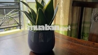 Cho thuê phòng Đường số 10 KDC Trung Sơn Nguyễn Văn Cừ nối dài 3tr/th