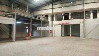 Cho Thuê Kho Mặt Tiền Thanh Niên Bình Chánh