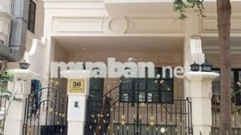 Nhà MT Cityland Đường Số 4, Gò Vấp, 5x20m, hầm trệt 3 lầu, 5PN
