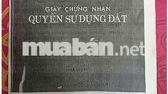 NHÀ MẶT TIỀN NGUYỄN THỊ THỬ – HÓC MÔN – VỊ TRÍ KINH DOANH CỰC ĐẮC ĐỊA