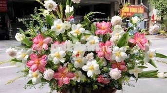Chính chủ cho thuê nhà nguyên căn