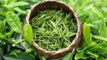 Chuyên cung cấp trà nguyên liệu giá sỉ cho các cơ sở SX trà trên toàn 