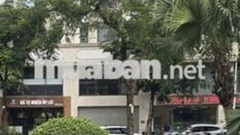 Cho thuê biệt thự 91m2, gần 700m2 sàn tại TT2-3 Khu C Him Lam Vạn Phúc