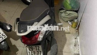 Yamaha Latte Đen Xăng