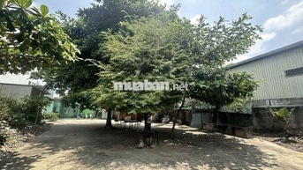 CHO THUÊ ĐẤT TRỐNG MẶT TIỀN ĐƯỜNG NGUYỄN HỮU TIẾN 1100M2