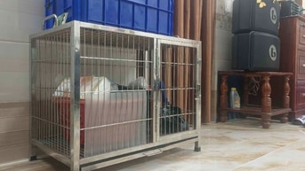 Thamh lí chuồng chó ưu tiên thủ đức 