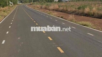 Đất Tân Lợi mặt đường nhựa DH Tân lợi- Tân hoà 32m