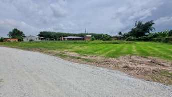 86m2 đất ở đô thị phường Gò Dầu. Dân đông. 2xx tr 