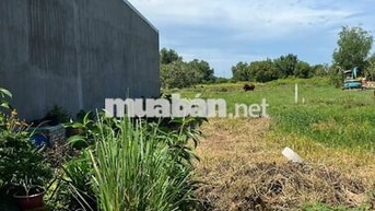Cần tiên bán gấp lô đất full thổ cư 5x27m, 540 triệu Sang tên ngay