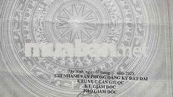 ĐẤT MẶT TIỀN ĐƯỜNG DT 835 B PHƯỚC LÝ , CẦN GIUỘC 496 M2 ĐẸP
