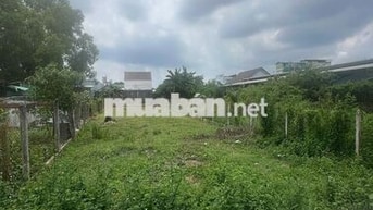 BÁN ĐẤT NGUYỄN VIẾT XUÂN 500M2 10X50 GIÁ 780TR