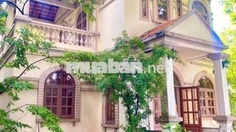 🏠 Nhà sân vườn 1000m2,phù hợp kinh doanh, 3phòng, đường Lê Thị Kim 🏠