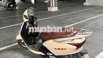 Honda LEAD Kem/trắng ngà màu Nâu