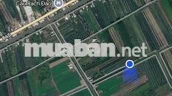 *** 550 M2 -ĐẤT TÂN PHƯỚC3- CLN CHỜ LÀM ĐƯỜNG XONG LÊN THỔ