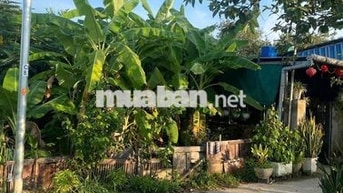Đất quy chủ k264 Hoàng Văn Thái đã có điện nước