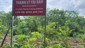 CÔNG TY ĐẤU GIÁ HỢP DANH MINH PHÁP THÔNG BÁO ĐẤU GIÁ TÀI SẢN