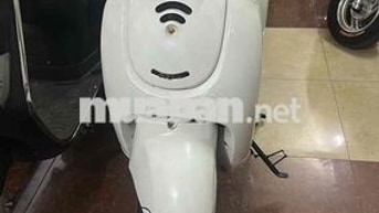 Honda Trắng fiGiormo