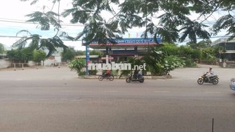 cho thuê làm nhà thuốc, cửa hàng
