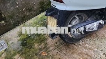 Honda Lead Trắng